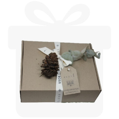 ENVOLTURA CAJA, LISTÓN, TARJETA Y DETALLE NAVIDEÑO