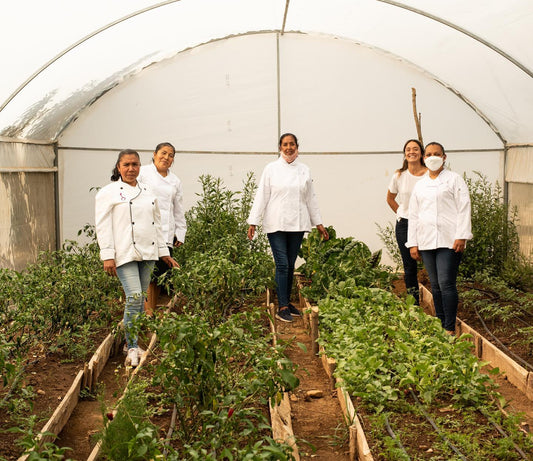 LAS MUJERES RURALES PRODUCEN MÁS DEL 50% DE LOS ALIMENTOS EN MÉXICO